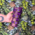 Kopia – brankjsoleta (45).png